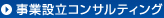 事業設立コンサルティング